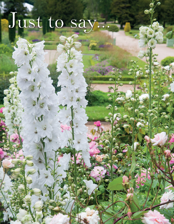 Just to Say Card - White Delphiniums
