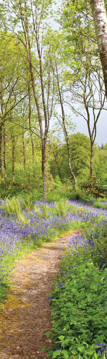 Card Bookmark - Bluebell Path