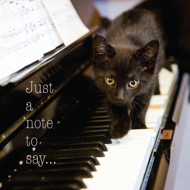 Photonotes Notecards - Kitten On Piano (pack of 5)