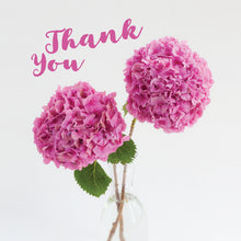 Load image into Gallery viewer, Photonotes Notecards - Pink Hydrangea (pack of 5)
