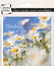 Load image into Gallery viewer, Photonotes Notecards - Oxeye Daisies (pack of 5)
