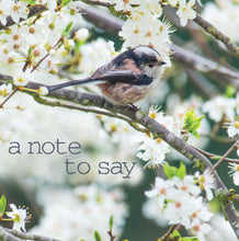 Load image into Gallery viewer, Photonotes Notecards - Long Tailed Tit (pack of 5)
