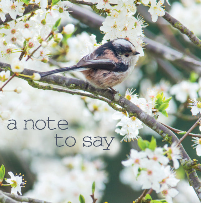 Photonotes Notecards - Long Tailed Tit (pack of 5)