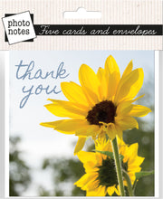 Load image into Gallery viewer, Photonotes Notecards - Sunflower Heads (pack of 5)

