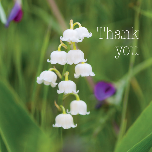 Photonotes Notecards - Lily Of The Valley (pack of 5)
