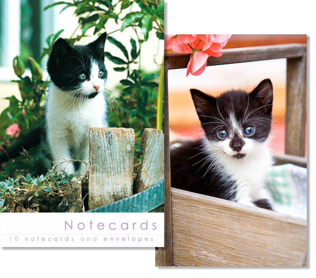 Notecard Wallet - Kittens (10 cards)