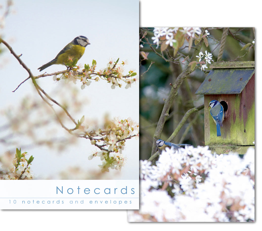 Notecard Wallet - Blue Tits (10 cards)