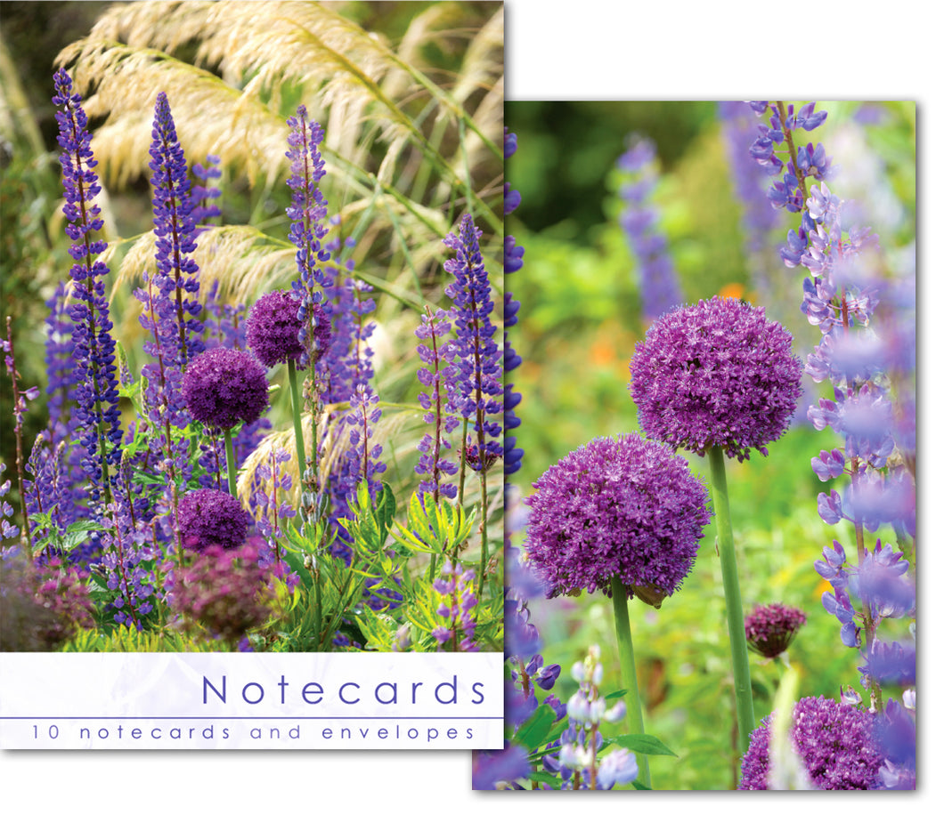 Notecard Wallet - Allium Heads (10 cards)