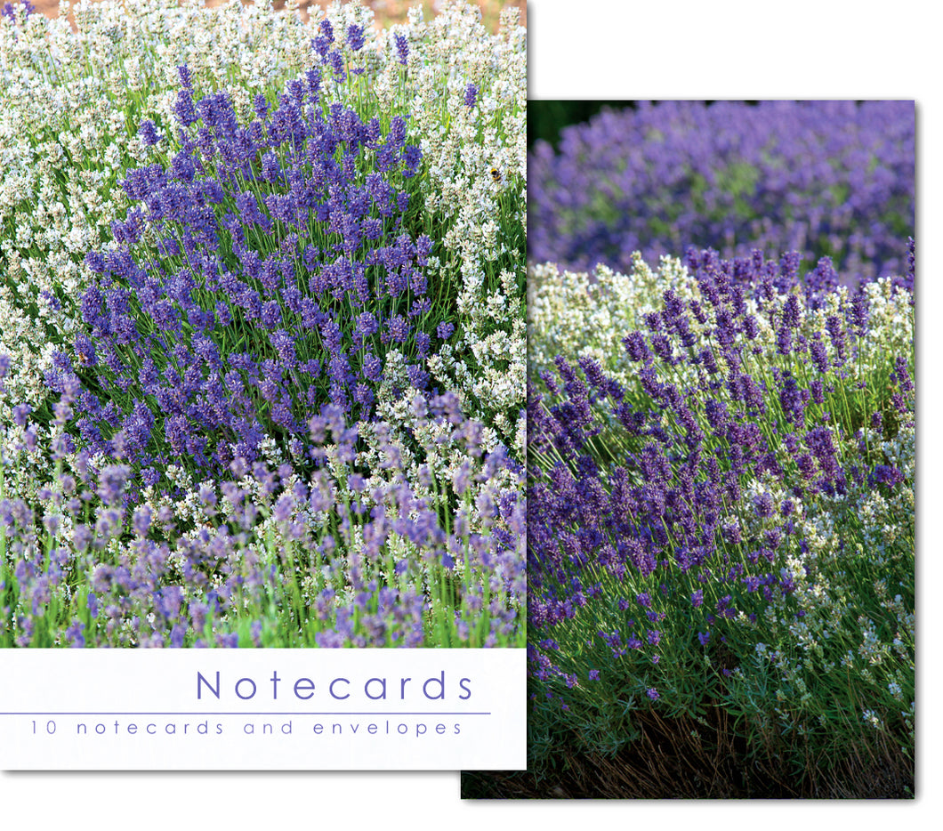 Notecard Wallet - Lavender Varieties (10 cards)
