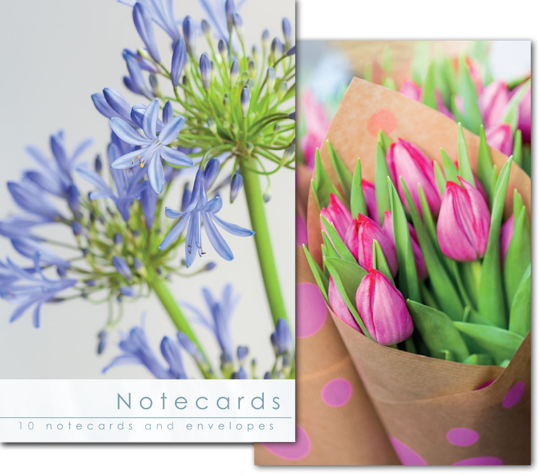 Notecard Wallet - Agapanthus/Tulips (10 cards)