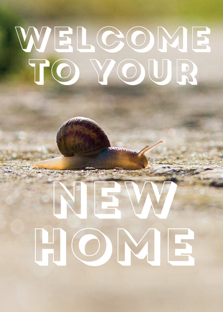 New Home Card - Creeping Snail