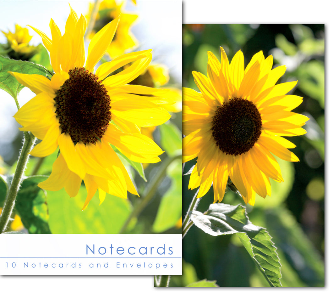 Notecard Wallet - Sunflowers (10 cards)